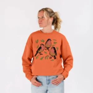 Apricot orange sweater with robins illustration by Lumimango teemill